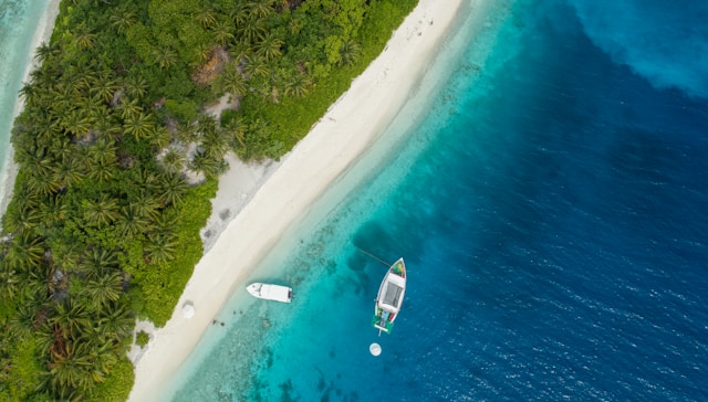 îles Selvagens