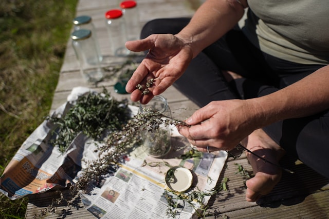 herbes aromatiques